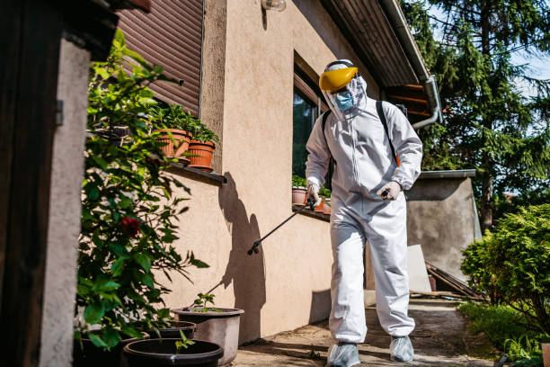Best Pest Inspection Near Me  in Carrizo Hill, TX