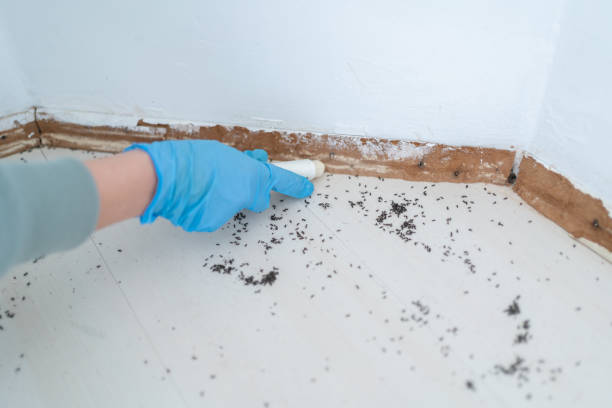 Carrizo Hill, TX Pest Control Company