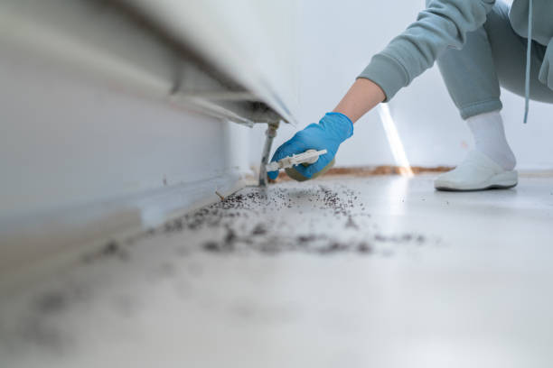 Best Cockroach Control Services  in Carrizo Hill, TX